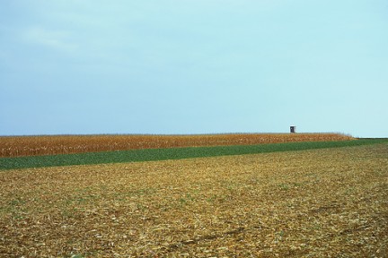 rivalutazione dei terreni